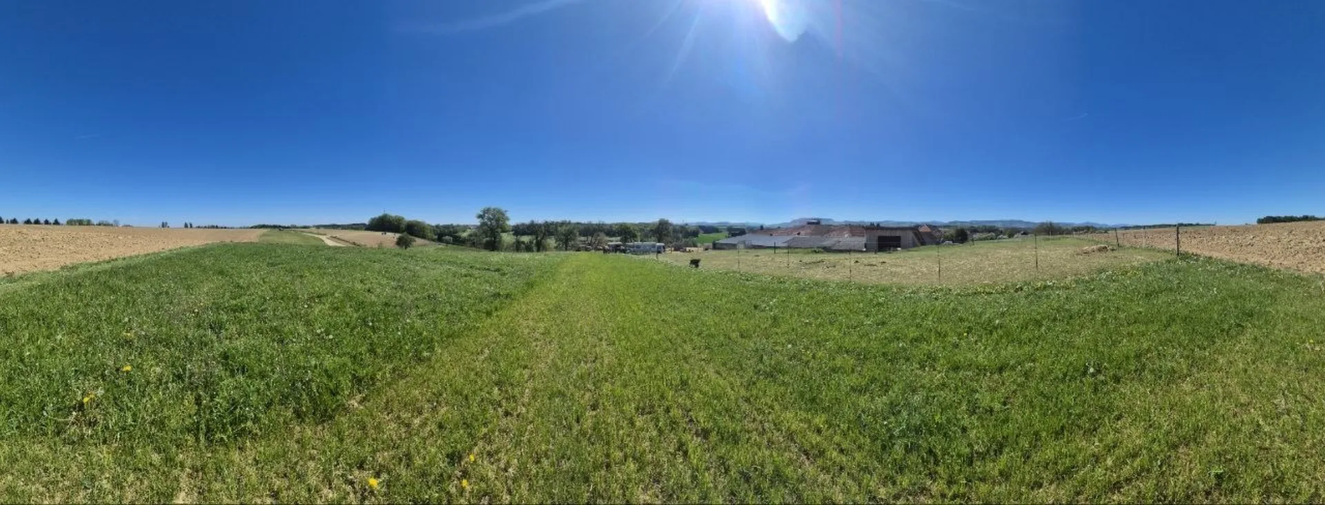 Panorama Wiese und Hof